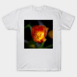 Red Tulip Close Up T-Shirt